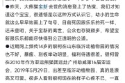 《守护熊猫技能搭配攻略》（发掘最强技能组合，保卫熊猫家园！）