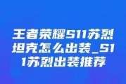 《苏烈爆炸铭文出装攻略视频分享》（以苏烈为主的爆炸铭文出装攻略分享，助你游戏更上一层楼）