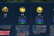 王者荣耀攻略之出装技能大全（全面解析王者荣耀英雄的出装与技能运用）