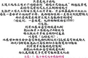 从零到英雄——以皇子出装比赛技巧攻略（打造不败王者，掌握皇子必备的出装心法）